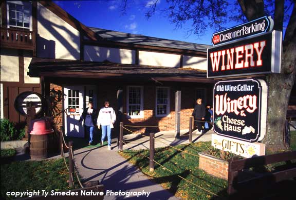 Amana Colonies Winery