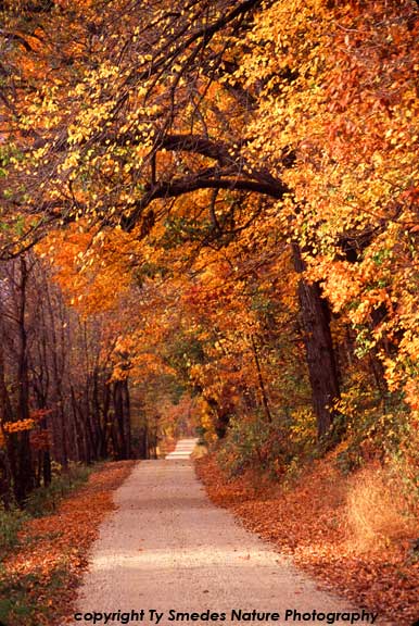 Fall Color in northeast Iowa