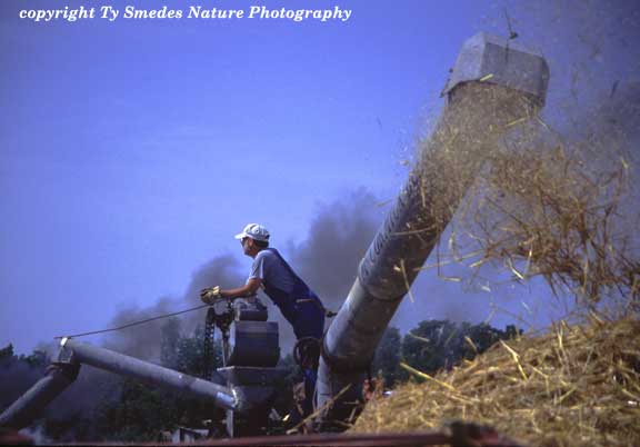Threshing at Living History Farms, Urbandale Iowa