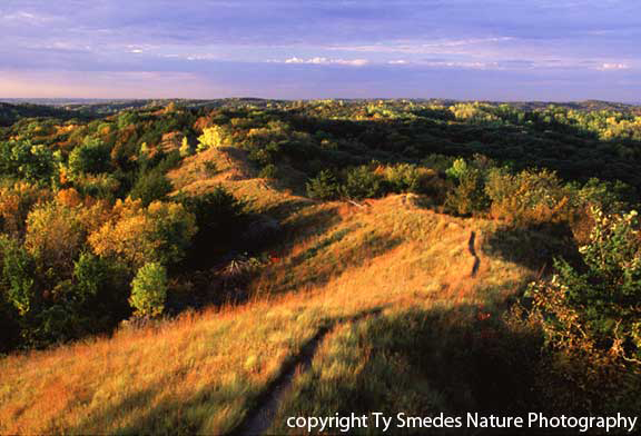 Loess Hills, western Iowa