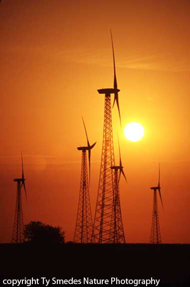 Wind Farm in northwest Iowa