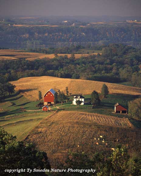 Farmstead at Balltown Iowa