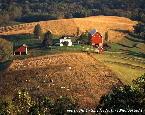 Farmstead at Balltown Iowa