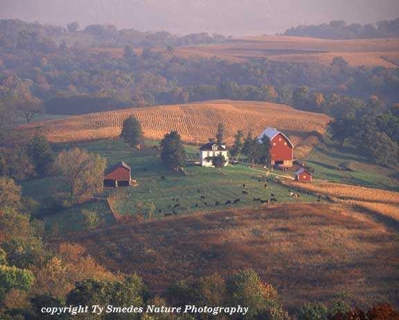 Farmstead at Balltown Iowa