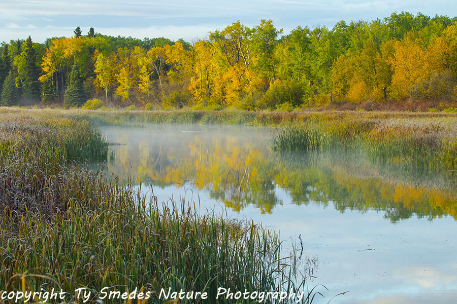 Canadian Fall Scenic