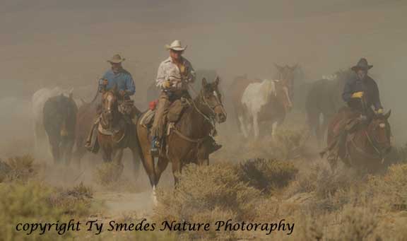 Owens Valley roundup - Eastern Sierras