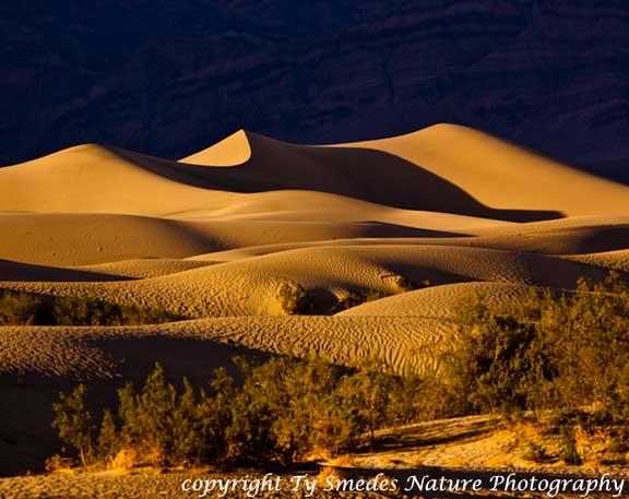 Death Valley shadows