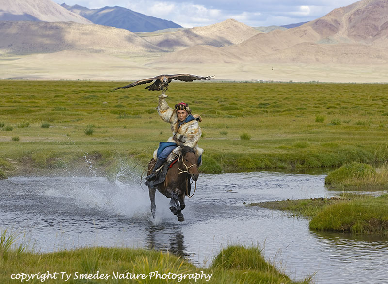 Eagle Hunter Riding Across Stream with Golden Eagle