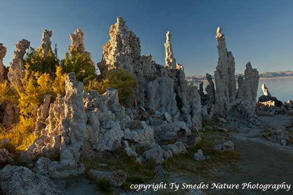 Mono Lake Tufa Formations