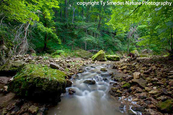 A stream in Northeast Iowa