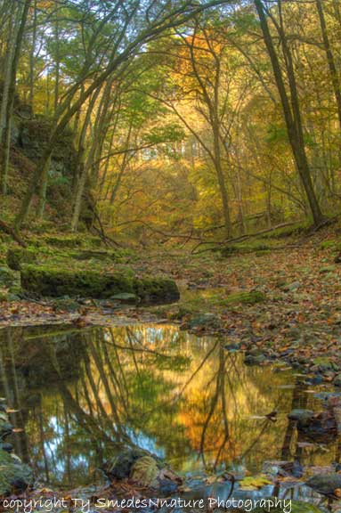 Fall color and a reflective pool in northeast Iowa