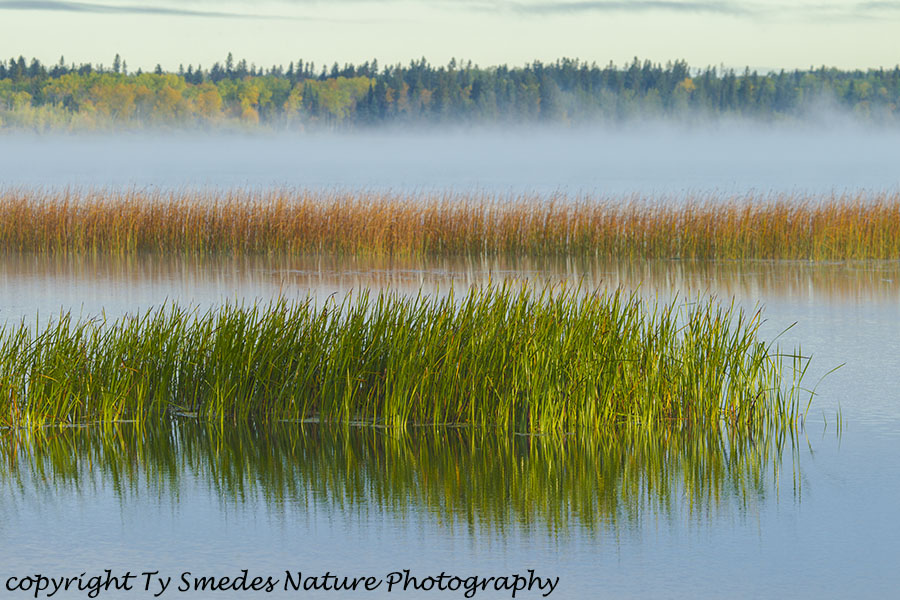 Fall along a Canadian lake